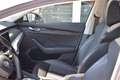 Skoda Octavia 2.0 TDI DPF Business (EURO 6d-TEMP) Weiß - thumbnail 5