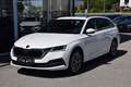 Skoda Octavia 2.0 TDI DPF Business (EURO 6d-TEMP) Weiß - thumbnail 2