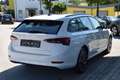 Skoda Octavia 2.0 TDI DPF Business (EURO 6d-TEMP) Weiß - thumbnail 3