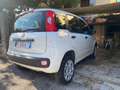 Fiat Panda 0.9 Twinair Natural Power Lounge OK neopatentati Bianco - thumbnail 3