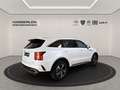 Kia Sorento 2.2 CRDi Spirit *Klima*360 Grad*Isofix* Blanco - thumbnail 5