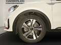 Kia Sorento 2.2 CRDi Spirit *Klima*360 Grad*Isofix* Bianco - thumbnail 19