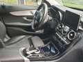 Mercedes-Benz C 350 e Gris - thumbnail 6