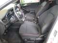 Ford Focus 1.5 ECOBOOST ST-LINE (150CV) E6D-T-UNIPROPRIETARIO Bianco - thumbnail 10