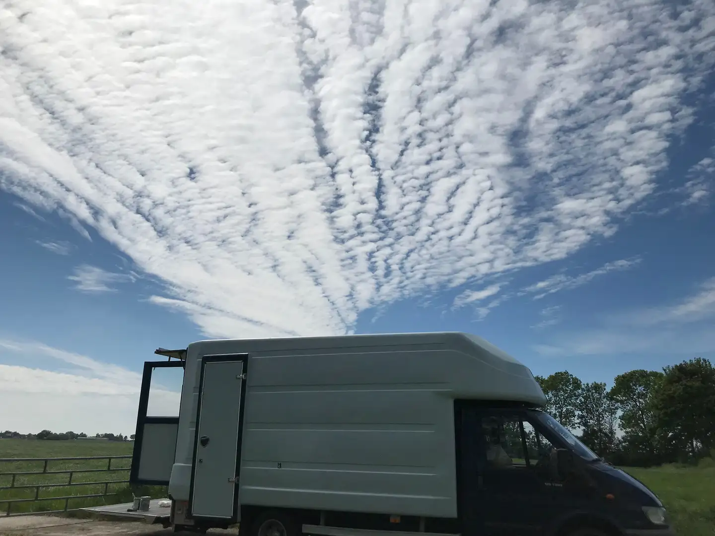 Ford Transit Transit undefined Blauw - 1