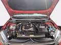 Volkswagen Taigo 1.0 tsi life 95cv Rouge - thumbnail 10