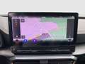 CUPRA Formentor 2.0 TSI VZ LED LM19 FULL LINK NAVI SIT Grau - thumbnail 12