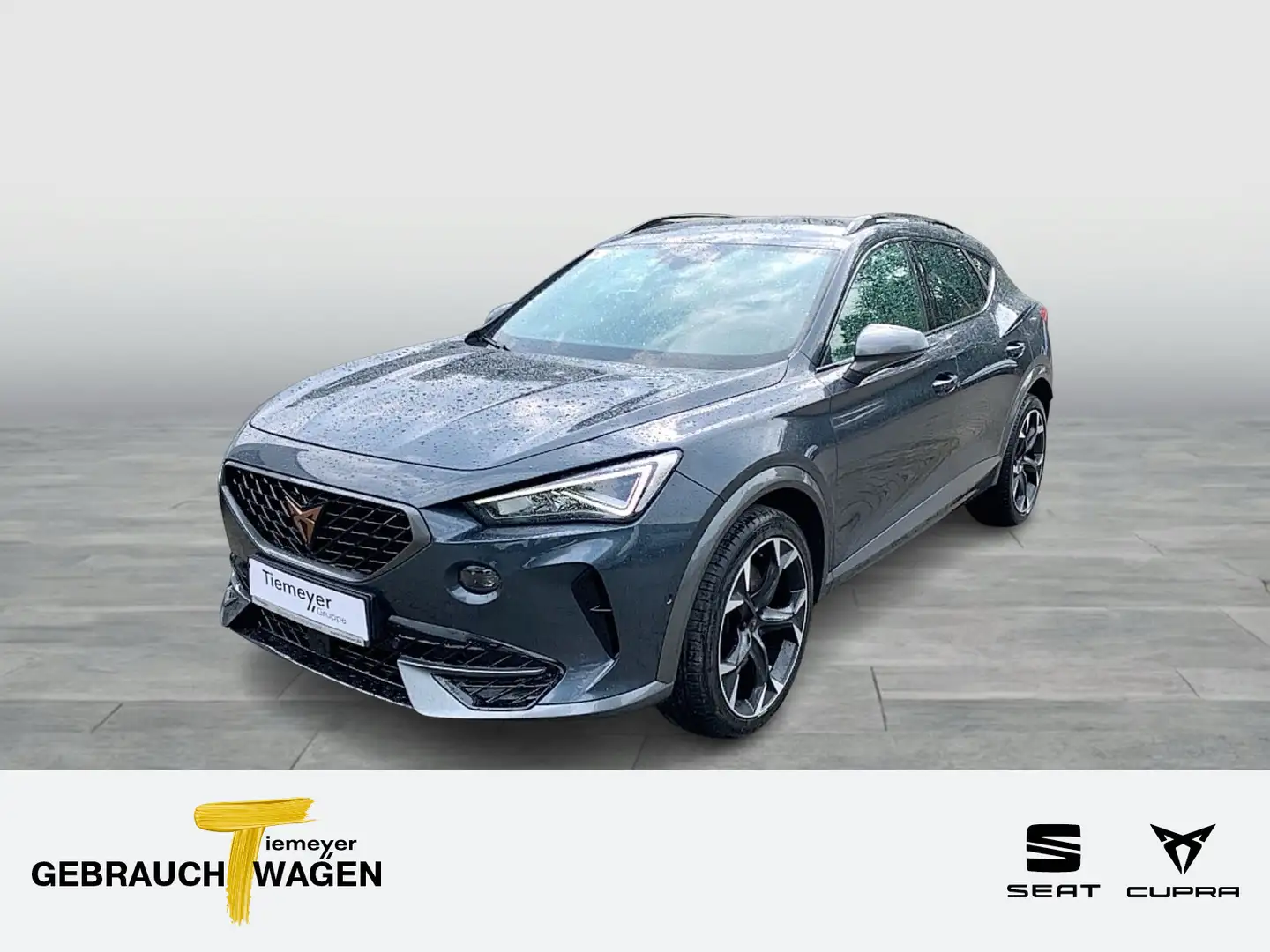 CUPRA Formentor 2.0 TSI VZ LED LM19 FULL LINK NAVI SIT Grau - 1