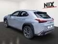 Lexus UX 300h 2.0 Hybrid F-Sport Design LED SHZ Stříbrná - thumbnail 5