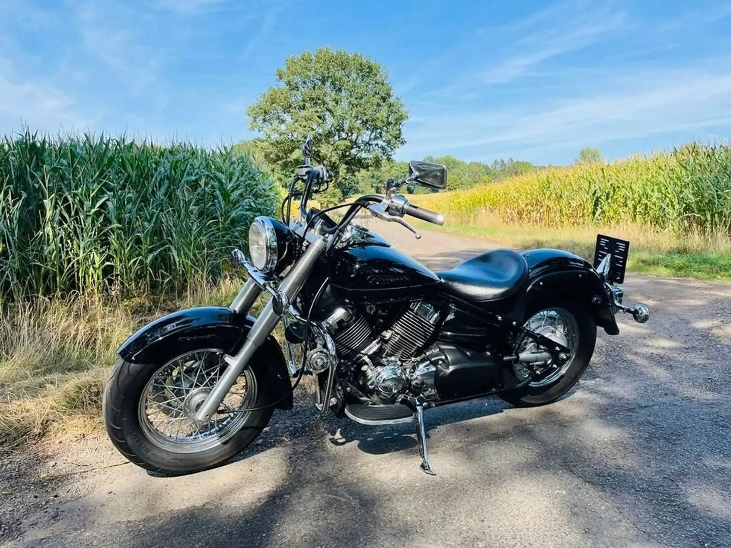 Yamaha XVS 650 Classic* schwarz-matt* 2003* 9700 km* wie neu* Negro - 2