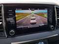 Skoda Karoq 4x4 Ambition TDI DSG Grau - thumbnail 22