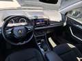Skoda Karoq 4x4 Ambition TDI DSG Grau - thumbnail 16