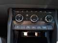 Skoda Karoq 4x4 Ambition TDI DSG Grau - thumbnail 23
