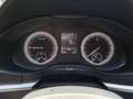 Skoda Karoq 4x4 Ambition TDI DSG Grau - thumbnail 18