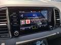 Skoda Karoq 4x4 Ambition TDI DSG Grau - thumbnail 19