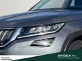 Skoda Kodiaq 2.0 TDI 4X4 DSG LEDER STANDHZ. KAMERA Grau - thumbnail 5