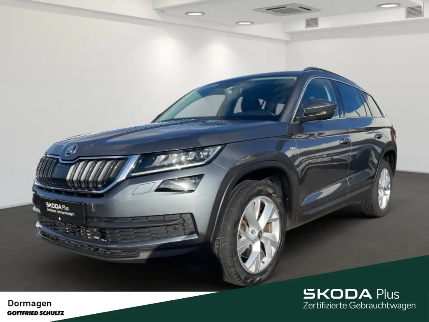 Skoda Kodiaq 2.0 TDI 4X4 DSG LEDER STANDHZ. KAMERA Grau - 1