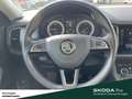 Skoda Kodiaq 2.0 TDI 4X4 DSG LEDER STANDHZ. KAMERA Grijs - thumbnail 13