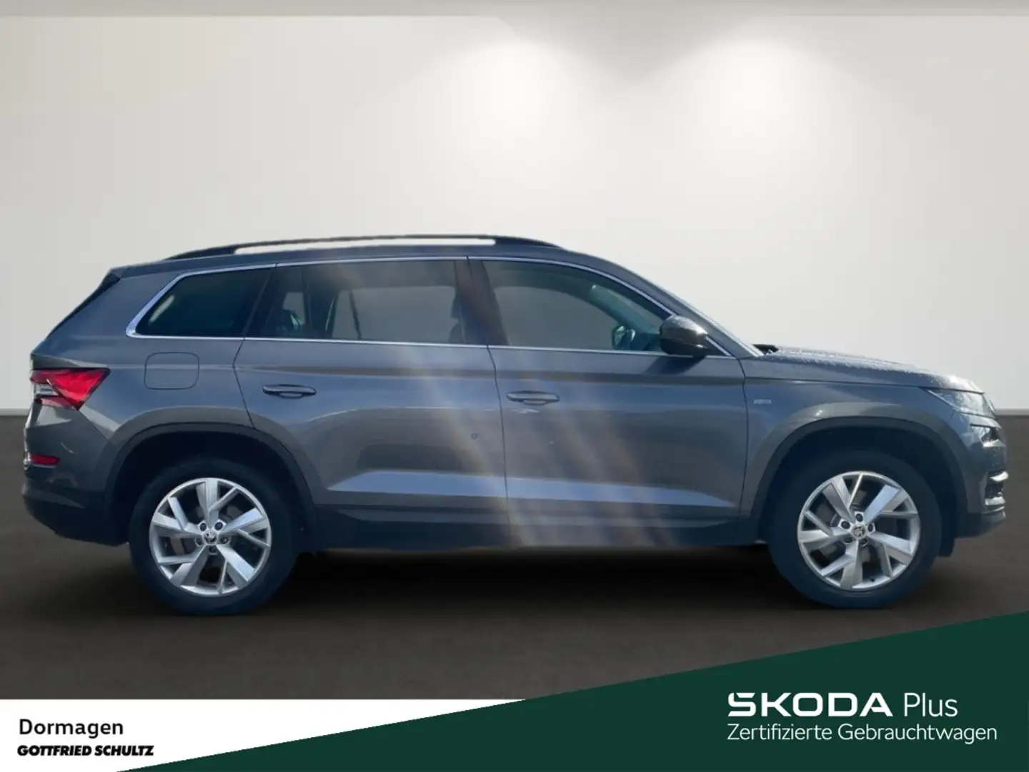 Skoda Kodiaq 2.0 TDI 4X4 DSG LEDER STANDHZ. KAMERA Grau - 2