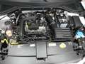 Volkswagen T-Roc 1.0 TSI Move LED SHZ ParkAssist Klima Klima Weiß - thumbnail 14