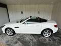 Mercedes-Benz SLC 200 Roadster-Cuire-Led-Aircraft -TOP White - thumbnail 7