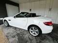 Mercedes-Benz SLC 200 Roadster-Cuire-Led-Aircraft -TOP White - thumbnail 19