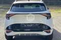 Kia Sportage Sportage 1.6 TGDi HEV AWD AT GT-line Plus Bianco - thumbnail 6