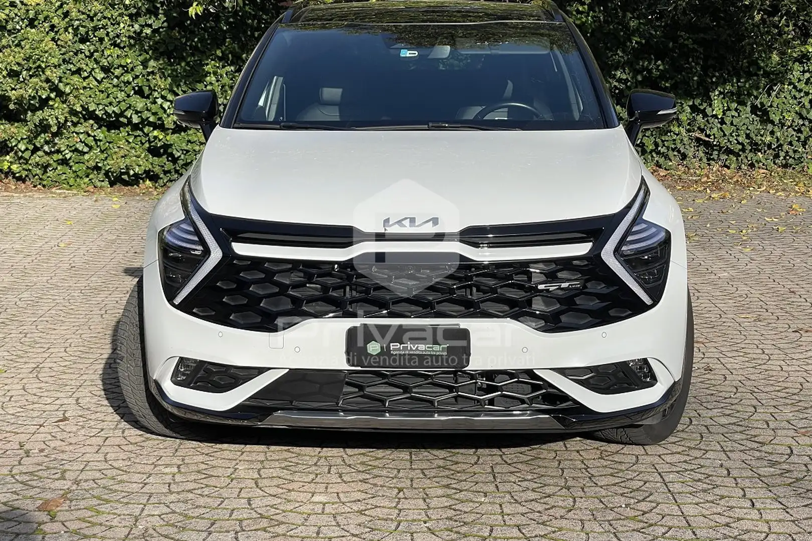 Kia Sportage Sportage 1.6 TGDi HEV AWD AT GT-line Plus Bianco - 2