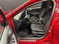 Ford Focus 1.5 EcoBlue ST-Line X 120cv Auto Rouge - thumbnail 14