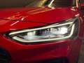 Ford Focus 1.5 EcoBlue ST-Line X 120cv Auto Rouge - thumbnail 6