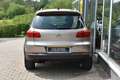 Volkswagen Tiguan Cup Track & Style 4Motion Beige - thumbnail 5