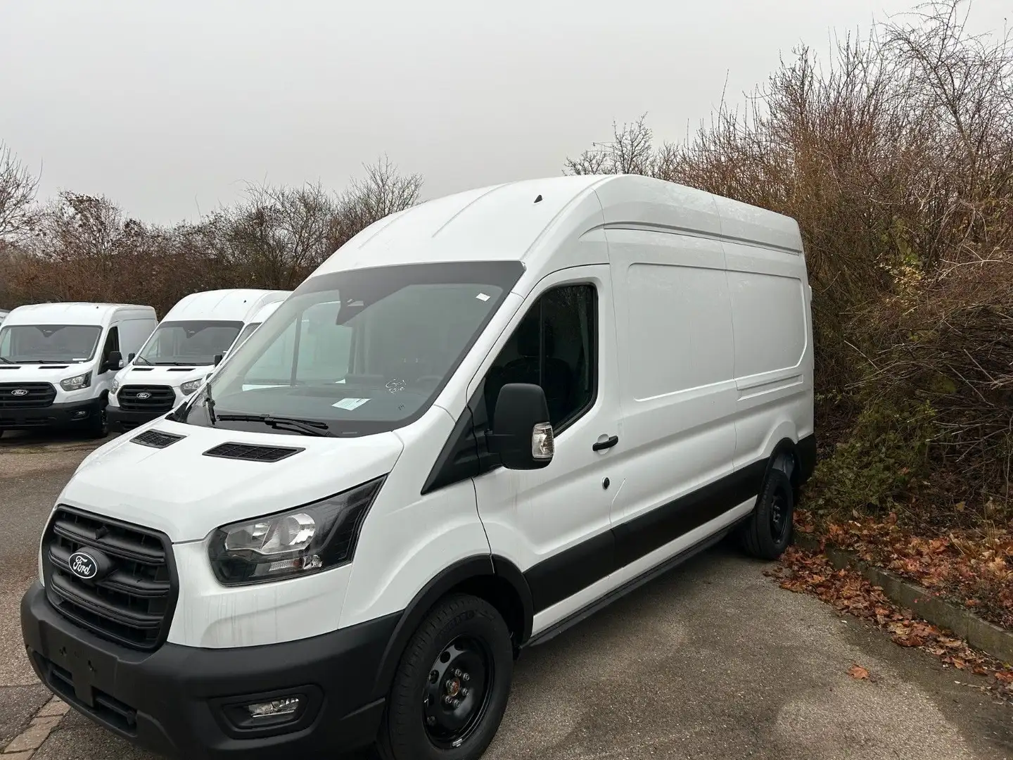 Ford Transit Kasten 350 L3 Trend Bianco - 2
