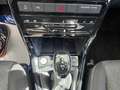 Volkswagen T-Cross T-Cross 2024 1.0 tsi Edition Plus 115cv dsg Grigio - thumbnail 14