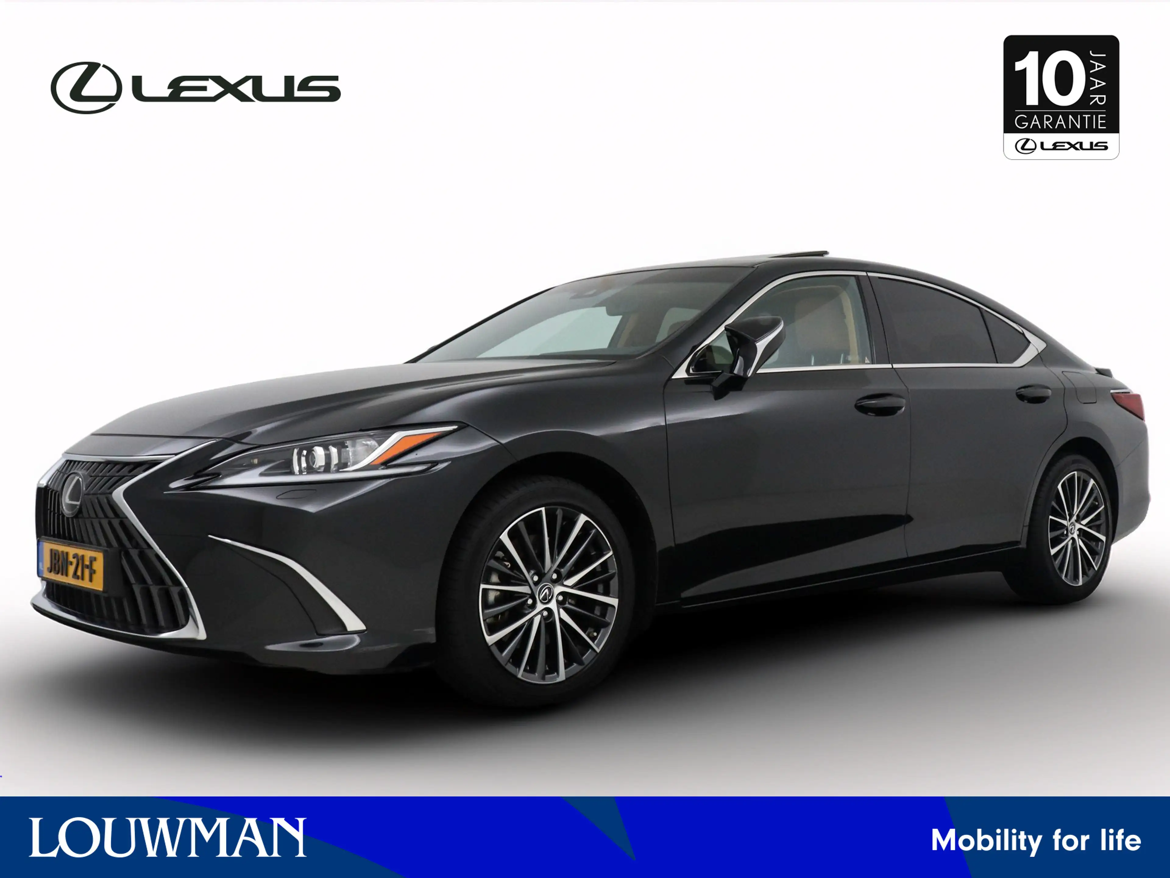 Lexus ES 300 300h Luxury Line