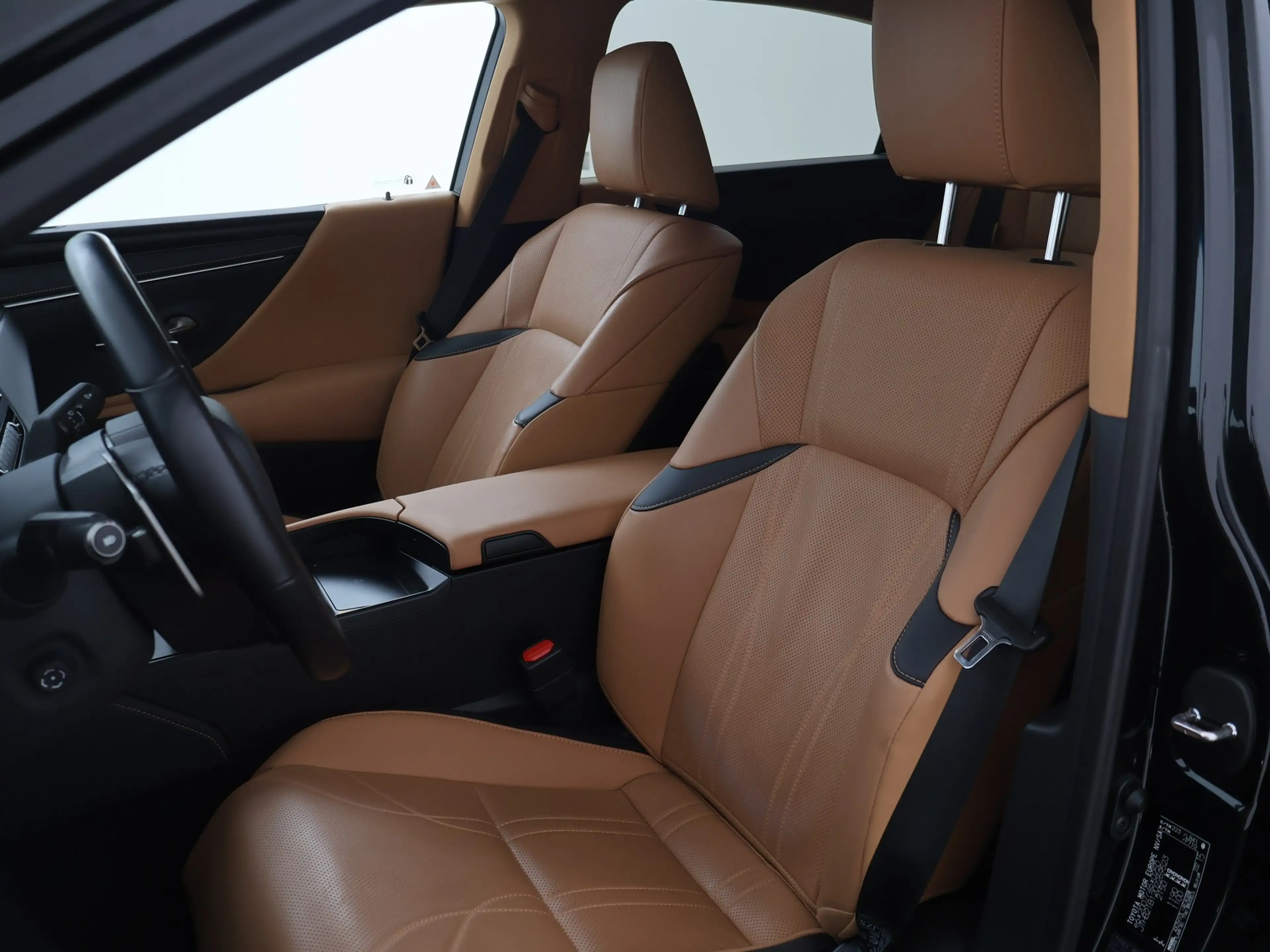 Lexus ES 300 300h Luxury Line — photo 8