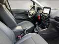 Ford EcoSport Titanium 1.0l EcoBoost Kamera*PDC*Totwinkel.*SHZ*L Gris - thumbnail 14