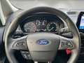 Ford EcoSport Titanium 1.0l EcoBoost Kamera*PDC*Totwinkel.*SHZ*L Gris - thumbnail 8