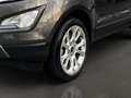 Ford EcoSport Titanium 1.0l EcoBoost Kamera*PDC*Totwinkel.*SHZ*L Gris - thumbnail 6