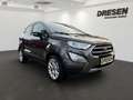 Ford EcoSport Titanium 1.0l EcoBoost Kamera*PDC*Totwinkel.*SHZ*L Gris - thumbnail 2