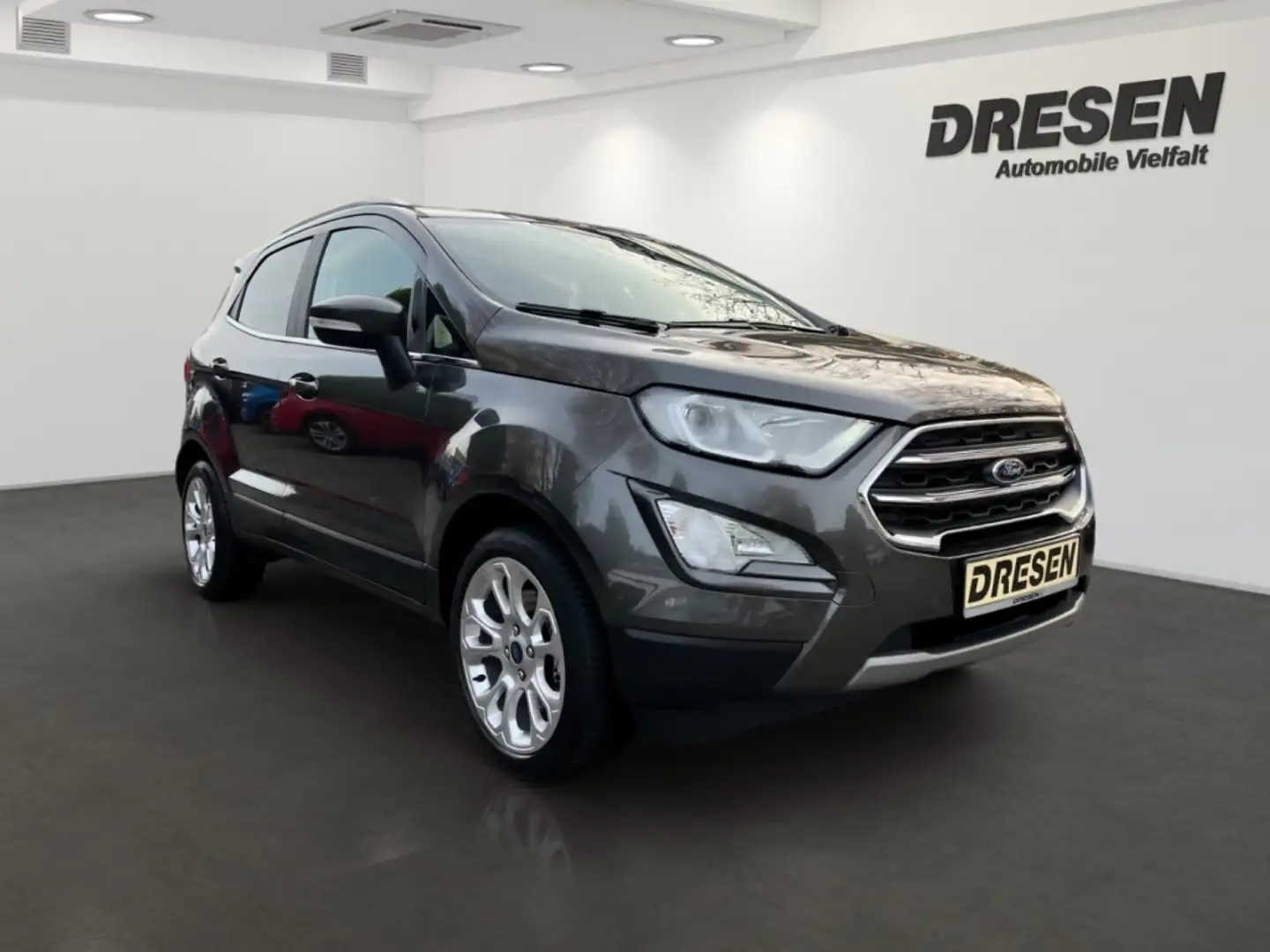 Ford EcoSport Titanium 1.0 EcoBoost Kamera*PDC*Totwinkel.*SHZ*Le Grijs - 2
