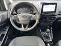 Ford EcoSport Titanium 1.0l EcoBoost Kamera*PDC*Totwinkel.*SHZ*L Gris - thumbnail 10