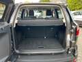 Ford EcoSport Titanium 1.0l EcoBoost Kamera*PDC*Totwinkel.*SHZ*L Gris - thumbnail 12