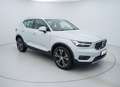 Volvo XC40 1.5 T4 phev Inscription My21 Argento - thumbnail 2
