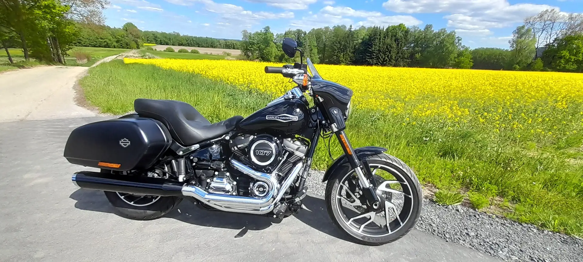 Harley-Davidson Sport Glide Noir - 2