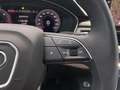 Audi A4 allroad 40 2.0 tdi mhev Identity Contrast quattro 204cv Gris - thumbnail 19