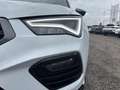 CUPRA Ateca ATECA 2.0 TSI DSG 4DRIVE 5. J. GAR.*NAVI AHZV Blanc - thumbnail 15