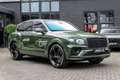 Bentley Bentayga 3.0 V6 HYBRID MULLINER+BLACKLINE+MASSAGE+HEADUP Grün - thumbnail 16