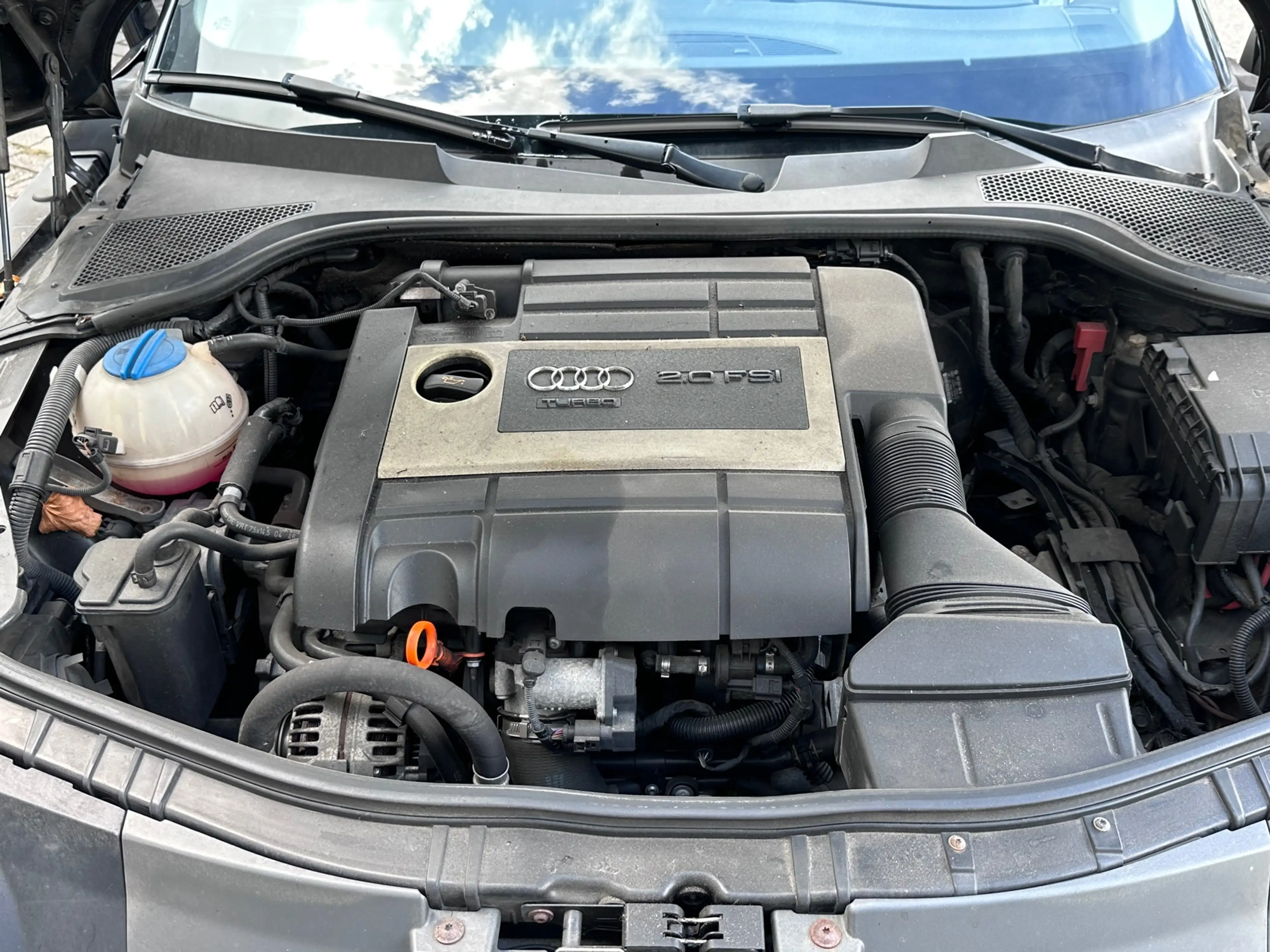 Audi TT 2.0 TFSI Pro Line BOSE S LINE LEER PDC — photo 15