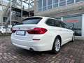 BMW 520 d SW AUTOMATICA! EURO6D! PELLE DAKOTA! XENON! NAVI Bianco - thumbnail 4