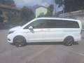 Mercedes-Benz V Classe V - W447 2014 250 d (cdi bt) Executive Wit - thumbnail 5